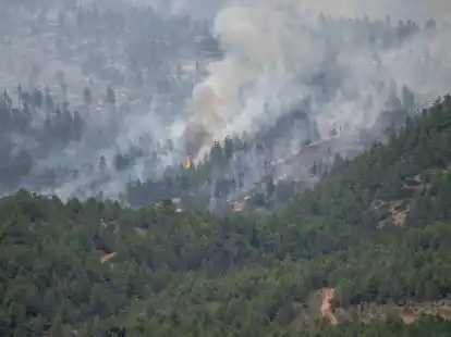 In San Agust&iacute;n brennt der Wald.