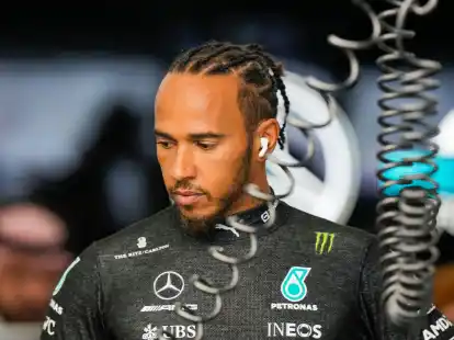 Lewis Hamilton war von Nelson Piquet rassistisch beleidigt worden.