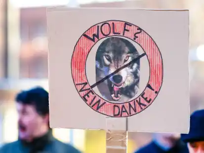 Plakate, &auml;hnlich wie dieses, werden wohl am 10. Juni auch in Aurich zu sehen sein &ndash; denn dann soll eine gro&szlig;e Demonstration gegen den Wolf stattfinden.