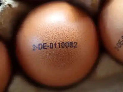 Der durchschnittliche Verkaufspreis f&uuml;r ein Paket mit zehn Eiern aus Bodenhaltung in der Gr&ouml;&szlig;e M hat in der vergangenen Woche bei 2,02 Euro gelegen. Vor einem Jahr betrug der Preis noch bei 1,75 Euro.