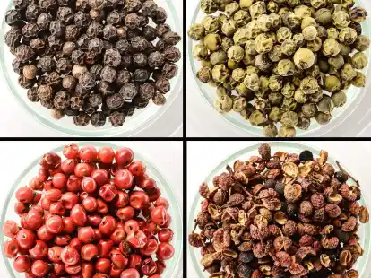 Drei echte Pfeffer und ein falscher: Schwarzer Pfeffer (l.o.-r.u.), Gr&uuml;ner Pfeffer, Roter Pfeffer und Szechuanpfeffer.
