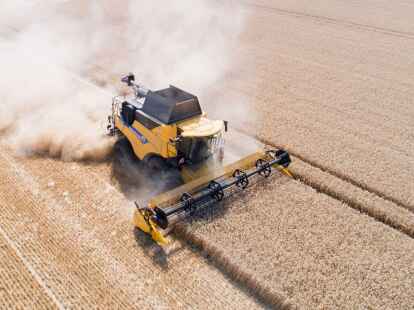 Was Sie auf diesem Bild nicht h&ouml;ren k&ouml;nnen: Bei der Ernte schreit Weizen um sein Leben.