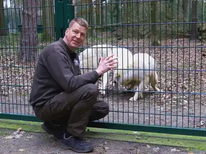 Frank Fass ist Betreiber des Wolfcenter D&ouml;rverden und seit informiert seit Jahren &uuml;ber Risiken und rechtliche Probleme bei der Ausbreitung von W&ouml;lfen in Niedersachsen. Im Interview erkl&auml;rt er, warum es ohne spezielle Wolfsz&auml;une nicht geht &ndash; Absch&uuml;sse von Problemw&ouml;lfen aber kein Tabu sein d&uuml;rfen.