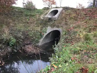 Auslass&ouml;ffnungen des Regenr&uuml;ckhaltebeckens an der Westtangente in Ganderkesee: Solche Anlagen will die FDP-Ratsfraktion ert&uuml;chtigen.