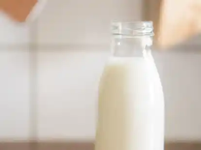 Symbolbild: Der fallende Milchpreis in diesem Jahr sorgt bei den Landwirten f&uuml;r &Auml;ngste.