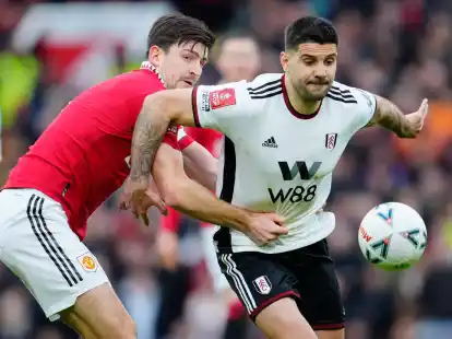 Wurde acht Spiele gesperrt: Fulhams Aleksandar Mitrovic (r).