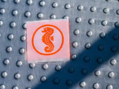 Bei den Seepferdchen geht es bergauf.