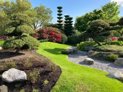 Wird mit seiner ruhigen Atmosph&auml;re von den G&auml;sten gesch&auml;tzt: Bis heute gibt es den Japan-Garten im Park der G&auml;rten. Fast alle anderen Musterg&auml;rten sind in den vergangenen Jahren  immer wieder umgestaltet bzw. neu gebaut worden.