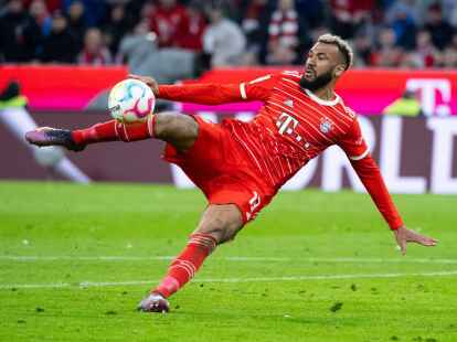 Bayern-St&uuml;rmer Eric Maxim Choupo-Moting ist wieder fit.