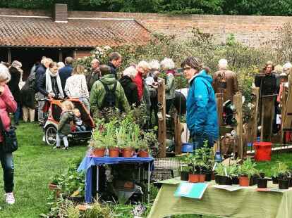 Flohmarkt im Oldenburger Küchengarten