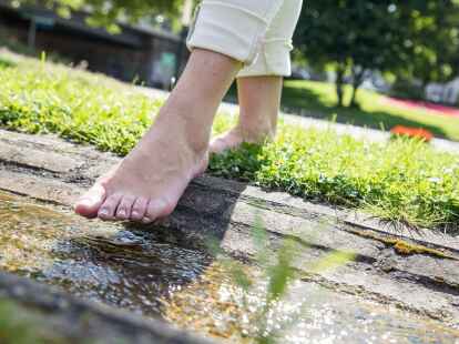 Spazierengehen tut gut und h&auml;lt fit. Ein Orthop&auml;de empfiehlt, zwischendurch auch mal r&uuml;ckw&auml;rts oder barfu&szlig; zu laufen.