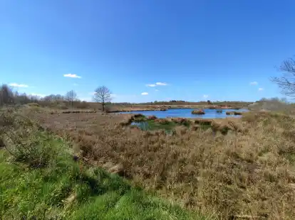 Am Ottermeer in Wiesmoor sollen 100 Hektar Moorfl&auml;chen mit F&ouml;rderung des Nabu-Kilmafonds wiedervern&auml;sst werden.