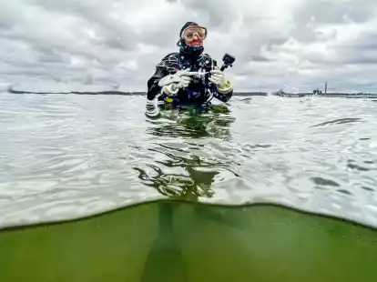 Die australische Meeresbiologin Angela Stevenson taucht an einer Seegraswiese in der Kieler F&ouml;rde.