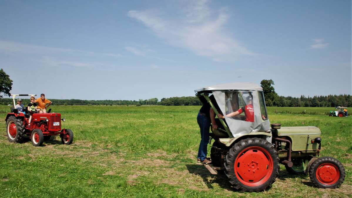Oldtimer in Jaderberg Nächstes Traktortreffen für 2024 geplant