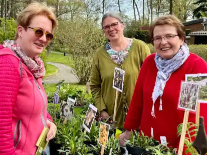 Christa Bahlmann (rechts) und ihre Tochter Sylvia Kuhnert hatten auch Tipps für Gartenliebhaberin Antje Hedemann aus Stadland.