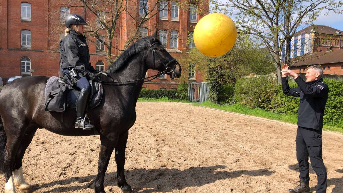 Reiterstaffel Hannover immer öfter bei Demos und Großveranstaltungen