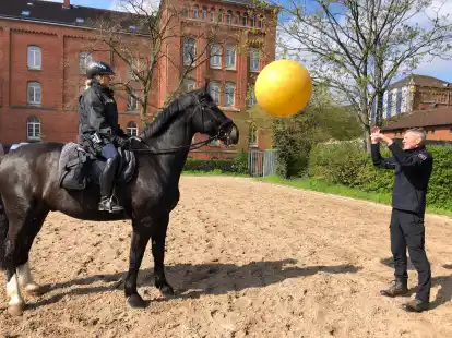 Training auf dem Sandplatz: Mit einem Gymnastikball versucht Martin Koopmann (rechts) das Warmblut Fokus (mit Kommissarin Theresa Kienecke im Sattel) an die Begegnung mit einer Menschenmenge zu gew&ouml;hnen.