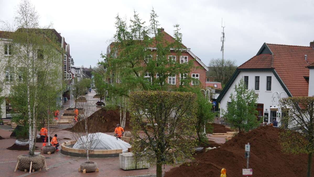 900 Jahre Westerstede Stadt bereitet sich auf die „Rhodo“ vor Zäune