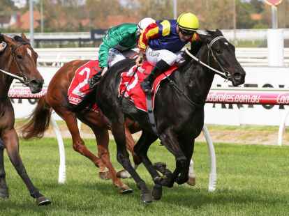 Als aktiver Jockey gewann&nbsp;Dean Holland mehr als 1075 Rennen in ganz&nbsp;Asutralien.