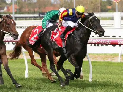 Als aktiver Jockey gewann&nbsp;Dean Holland mehr als 1075 Rennen in ganz&nbsp;Asutralien.