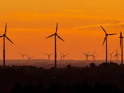 Die Enova Power GmbH will bei Kleinoldendorf in Uplengen drei Windkraftanlagen errichten. Der Nabu hatte Widerspruch eingelegt, was vom Landkreis Leer gepr&uuml;ft werden musste. Doch wie geht es nun weiter?
