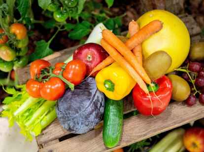 &Uuml;ber Lebensmittel und Trinkwasser nehmen Menschen auch Pestizide auf. Bei einer Untersuchung in f&uuml;nf europ&auml;ischen L&auml;ndern sind in 84 Prozent der genommenen Urinproben mindestens zwei Pestizide entdeckt worden.