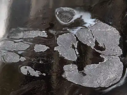 Ein Handabdruck eines abgel&ouml;sten Klimaaktivisten (Symbolbild).