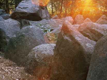 Ein Gro&szlig;steingrab in der Wildeshauser Geest.