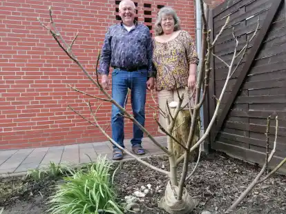 Werner und Waltraut Gründemann stehen in ihrem Garten hinter ihrem Feigenbaum, den sie im Urlaub in Griechenland von einem Mandarinen-Plantagen-Besitzer vor vielen Jahren geschenkt bekamen.