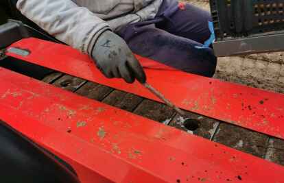 Die Pflanzmaschine setzt die Pappel-Stecklinge im Abstand von 50 Zentimetern.