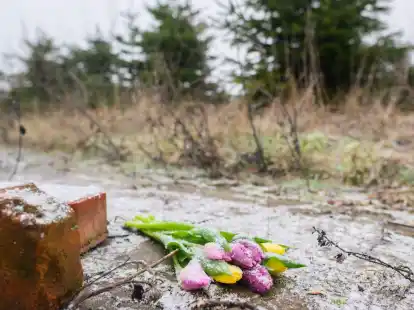 Tulpen liegen an einer Tannenbaumschonung in Wunstorf-Blumenau, wo die Leiche eines 14-j&auml;hrigen Jungen gefunden worden war.