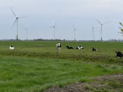 Im Bereich des Bebauungsplanes f&uuml;r den Windpark Rodenkircherwurp soll ein Solarpark entstehen.