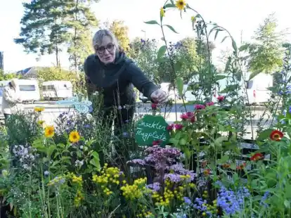 Zeigt, was der heimische Garten zu bieten hat: der Staudenflohmarkt der Huder Touristik-Palette (Archivbild)