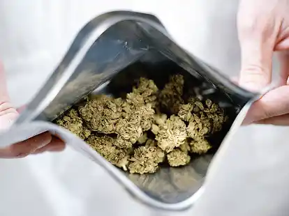 Medizinalcannabis in einer Verpackung: Nach der Verschreibung durch ihren Arzt k&ouml;nnen Patienten dieses aus der Apotheke beziehen.