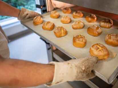 Eine Person schiebt ein Blech mit Br&ouml;tchen in den Ofen.