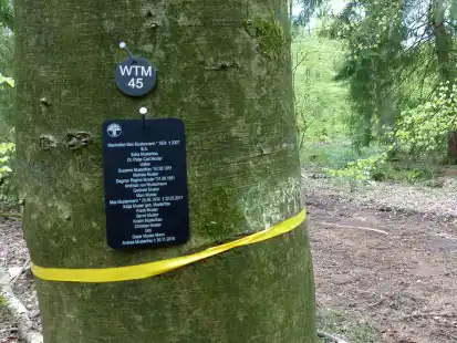 An einem Musterbaum werden die dezent-informativen Schilder an einem Friedwald-Baum vorgestellt.