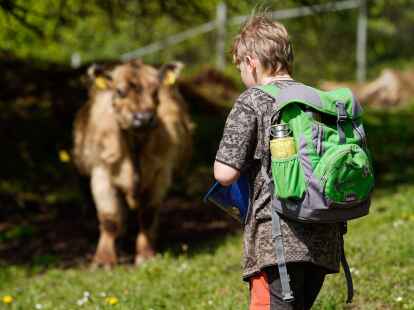 Ein Grundsch&uuml;ler der Freien Bauernhof-Waldschule S&uuml;dpfalz steht auf der Wiese eines Bauernhofs vor einer Kuh.