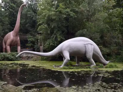 Nachbildungen eines Brachiosaurus (l) und eines Diplodocus stehen im Saurierpark im s&auml;chsischen Kleinwelka.