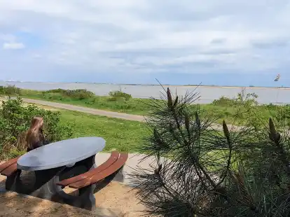Pauline Buhr freut sich &uuml;ber die neuen Picknicktische am Weserstrand in Nordenham.