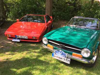 Schmucke Autos: Bei der Blue Fox Rallye gingen in Rastede Old- und Youngtimer an den Start. 