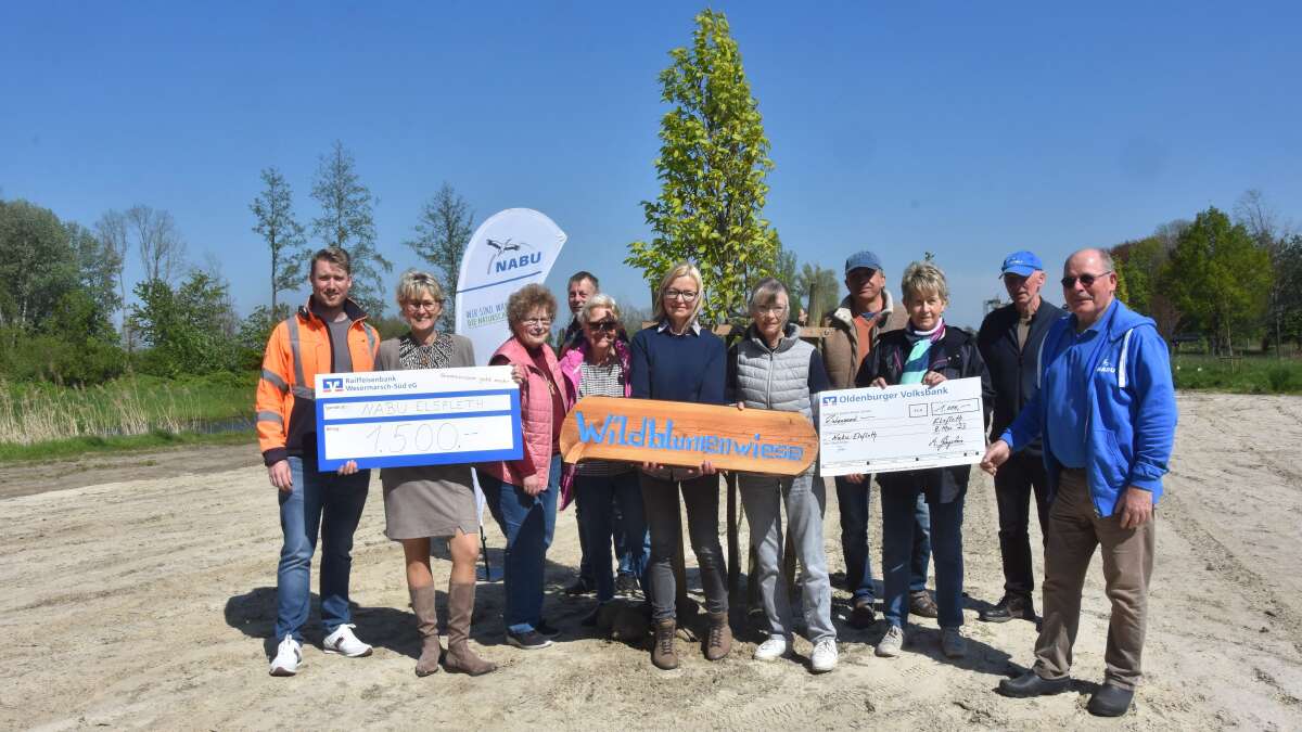 NabuProjekt in Elsfleth Wildblumenblühwiese am LieneKanal kurz vor