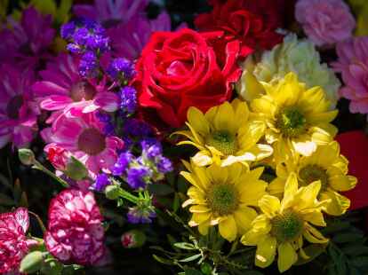 Blumen sind ein beliebtes Geschenk - auch zum Muttertag.