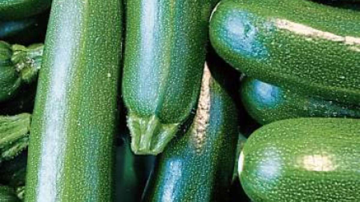 Zucchini