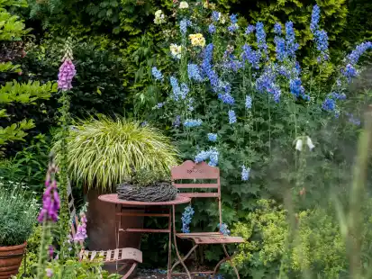 Tag des offenen Gartens: 13 gr&uuml;ne Oasen sind in diesem Jahr dabei.