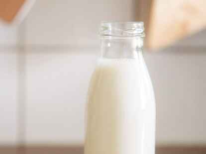 Kuhmilch hat andere N&auml;hrwerte als die Alternativen: Schaf- und Ziegenmilch lassen sich leichter verdauen.