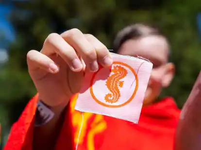 56.248 Seepferdchen wurden im vergangenen Jahr vergeben, 55 Prozent mehr als 2021 (36.368).