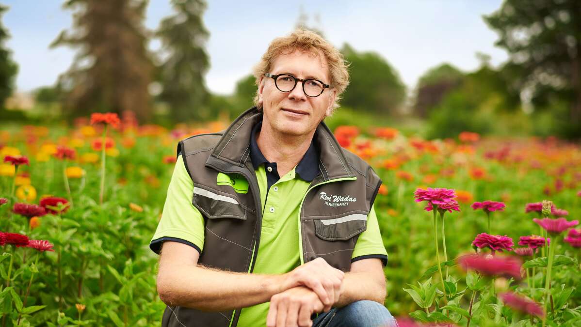 Erste Hilfe für Pflanzen