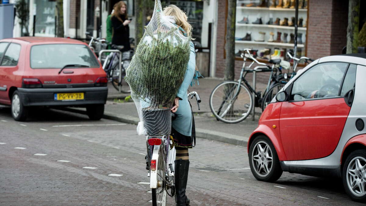 Teures Parken in Den Haag 50 Euro für zehn Minuten auch ein Modell für Deutschland?