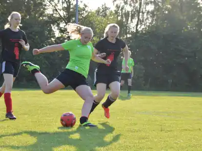 Hier steht der Spa&szlig; im Mittelpunkt: Beim Juxturnier spielen &ouml;rtliche Firmen und Gruppen gegeneinander.