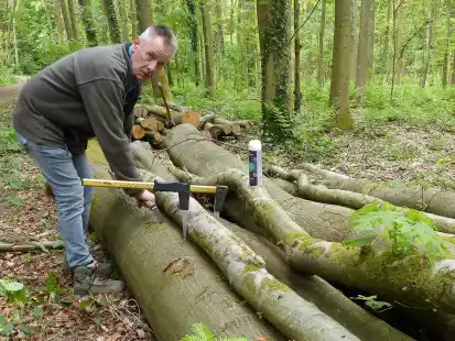 Stroot-Manager Hans-G&uuml;nter Willms greift zu seinen Messwerkzeugen, um die vielen Brennholz-Haufen zu vermessen, die an den Wegen liegen.